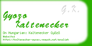 gyozo kaltenecker business card